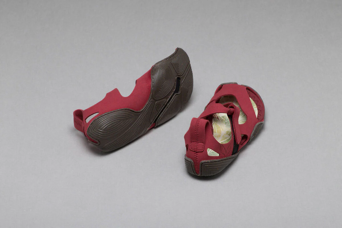 Feder fuchsia - Image 5