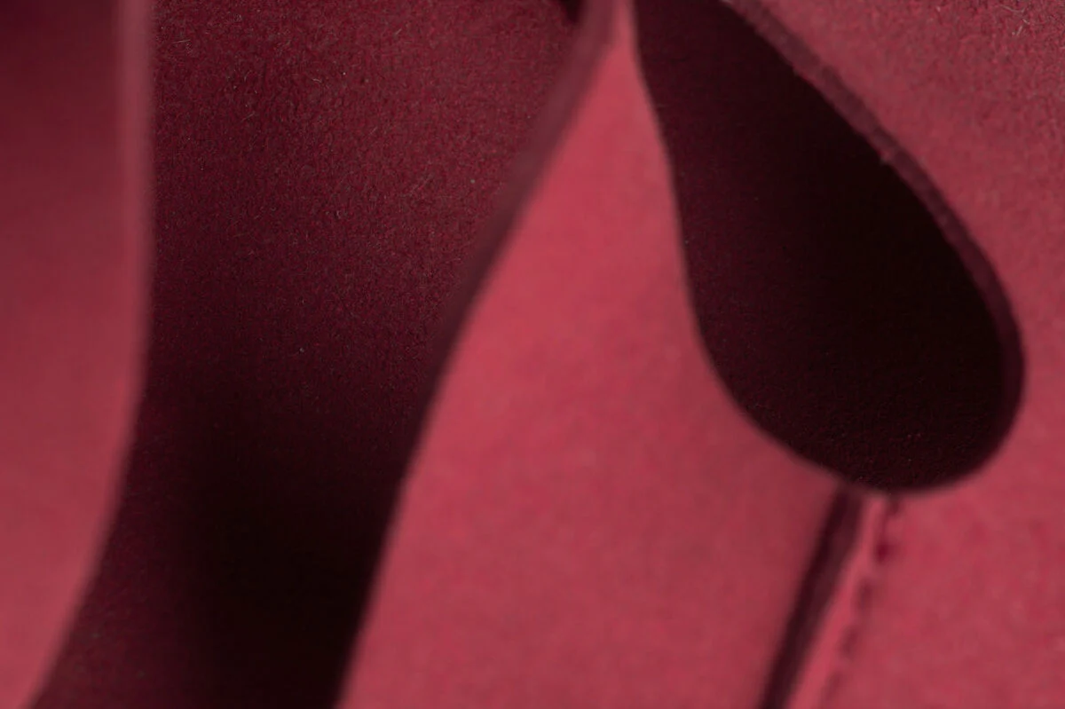 Feder fuchsia - Image 4