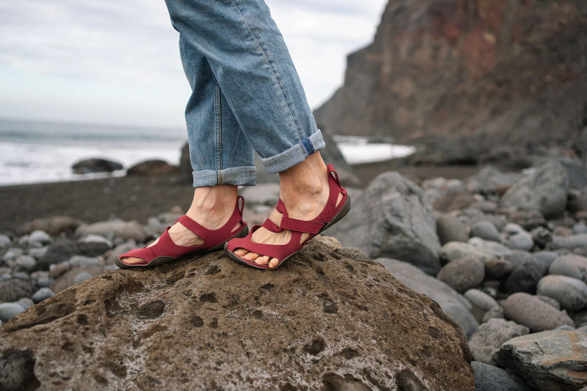 Feder fuchsia - Image 3