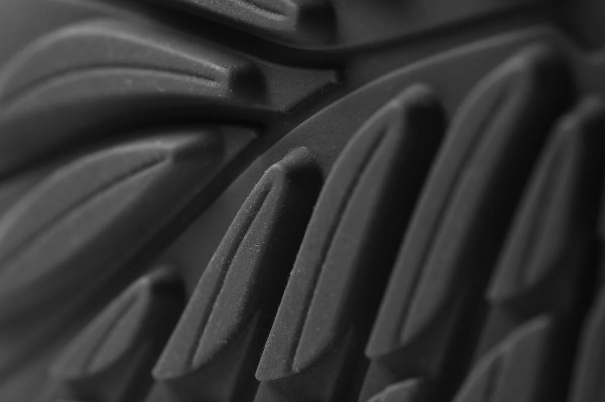 Ranidae black - Image 7