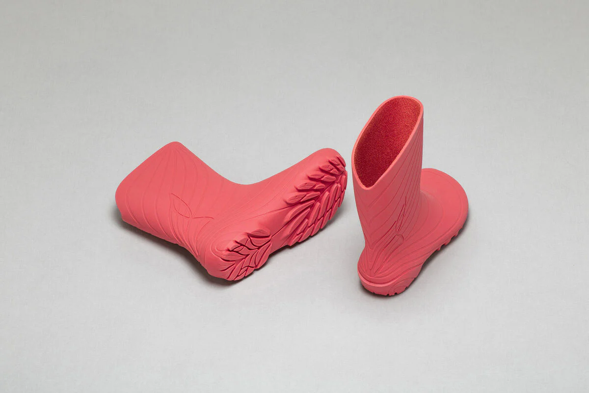 Ranidae coral - Image 5