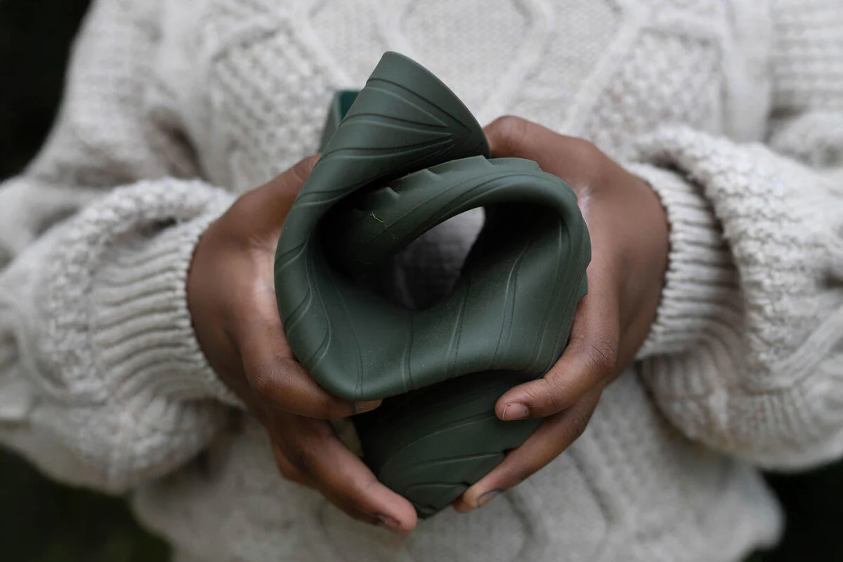 Ranidae green - Image 2