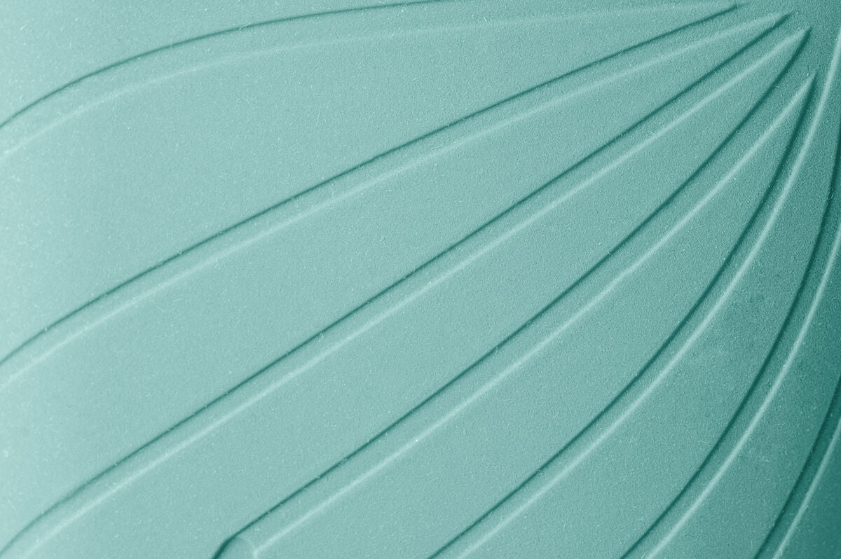 Ranidae mint - Image 4