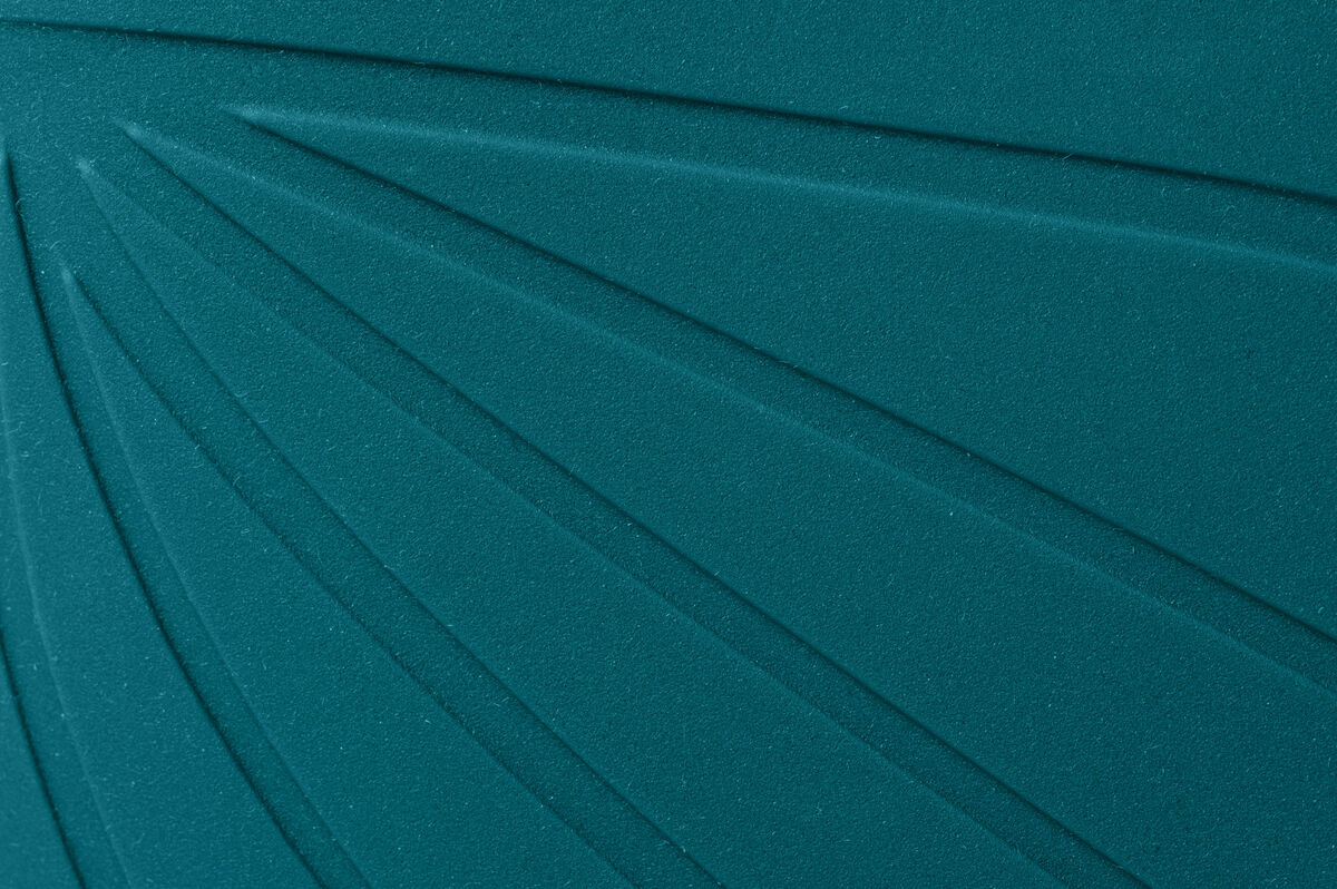 Ranidae ocean - Image 4