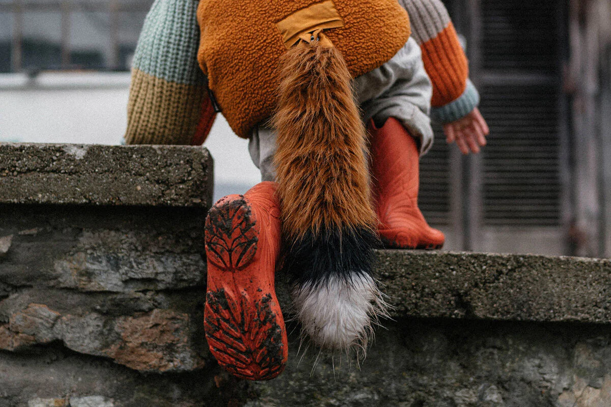 Ranidae orange - Image 3