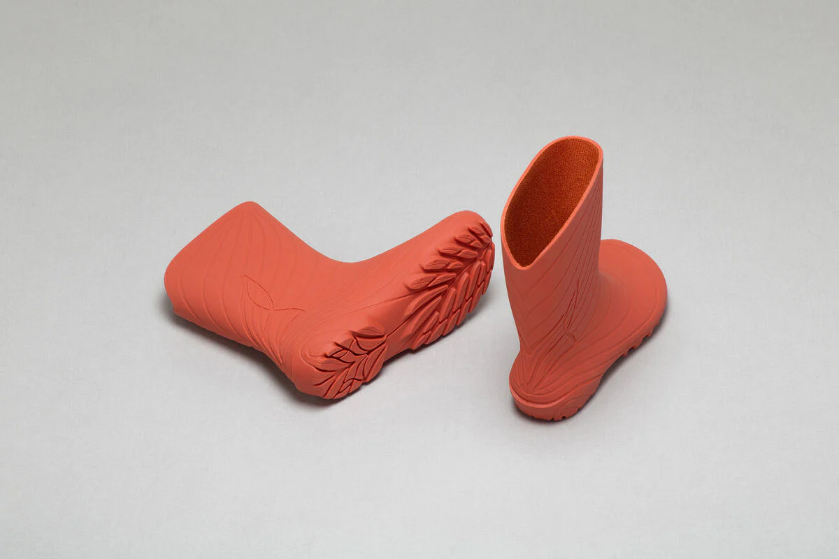 Ranidae orange - Image 5