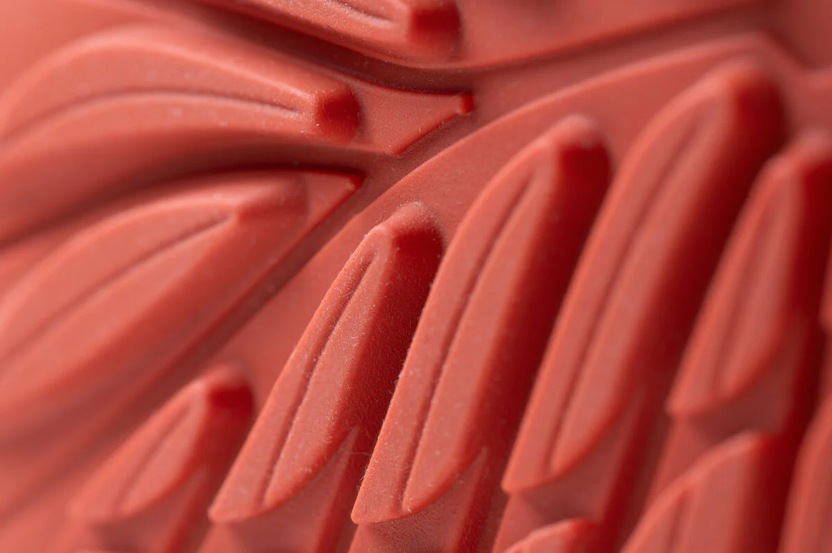 Ranidae orange - Image 7