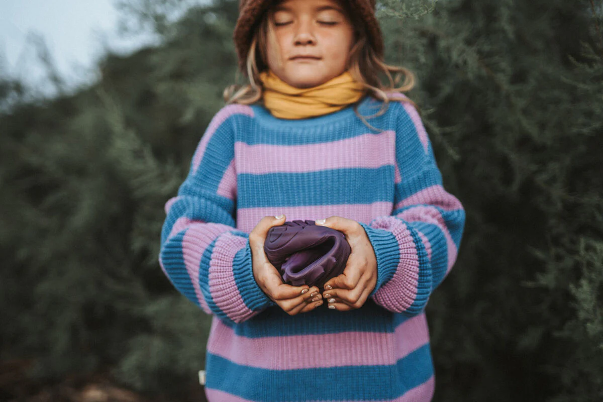 Ranidae plum - Image 2