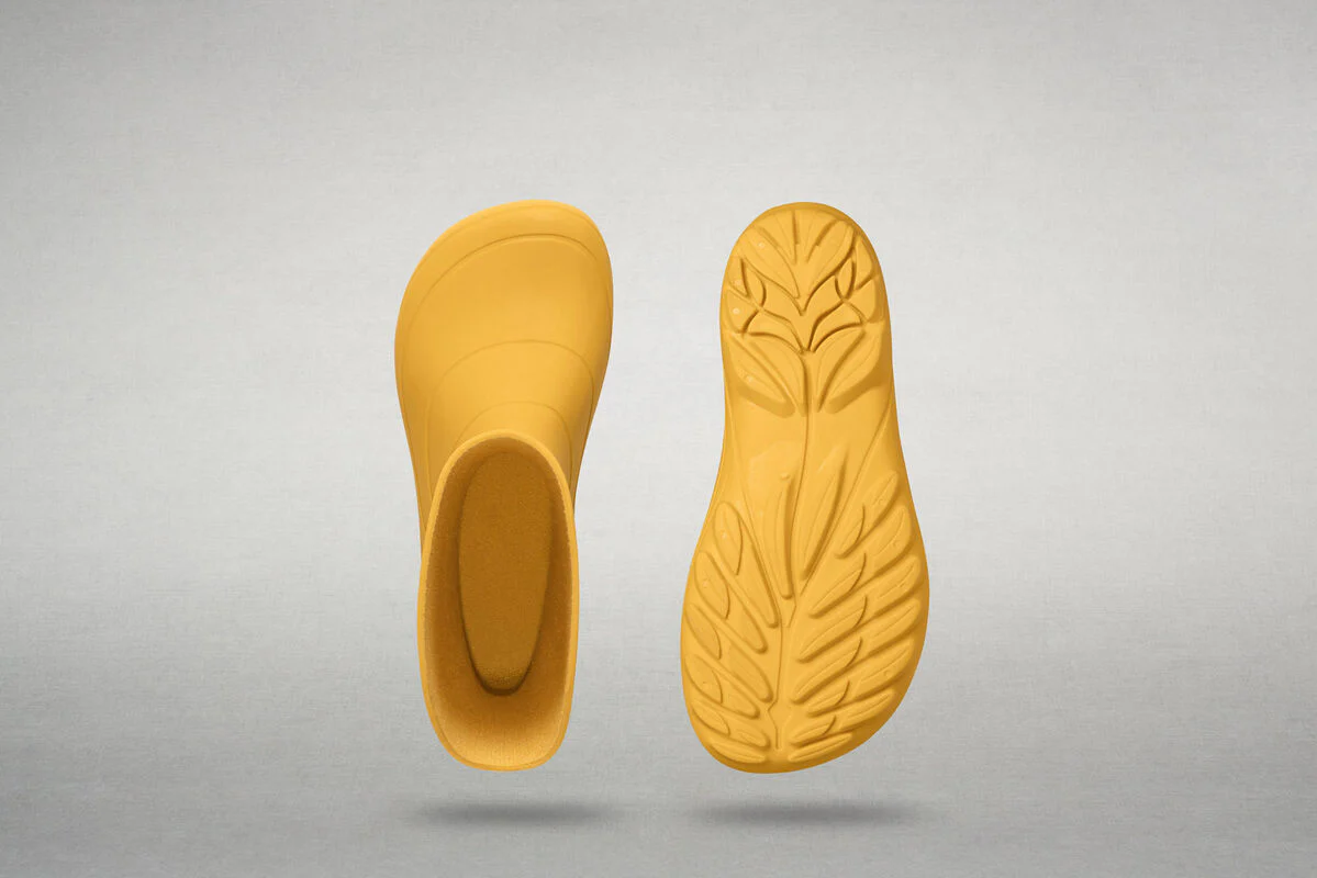 Ranidae yellow - Image 6