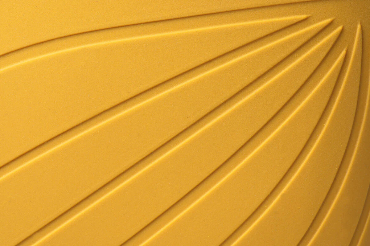 Ranidae yellow - Image 4