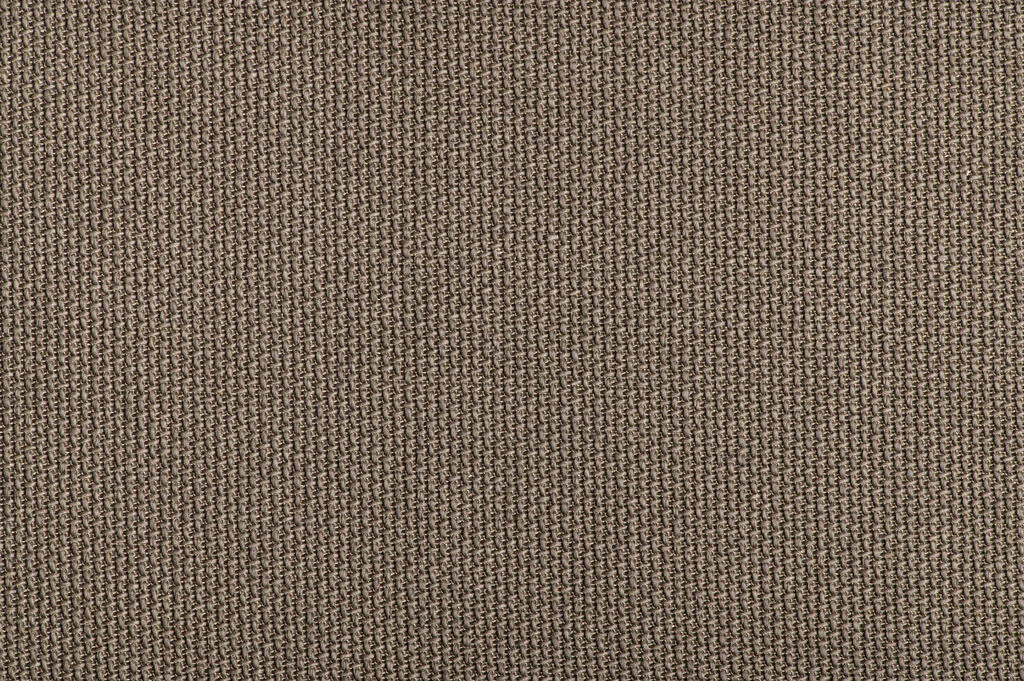 Tanuki Koke - Image 4