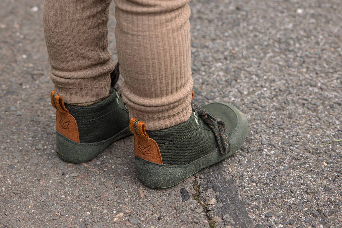 Tejo olive - Image 3