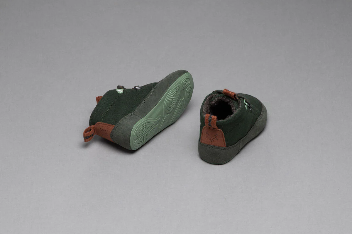 Tejo olive - Image 5